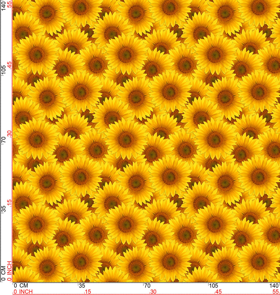Sunflower Photo, Floral and Summertime